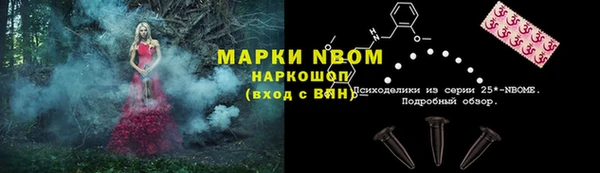 хмурый Козловка