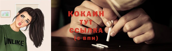 хмурый Козловка