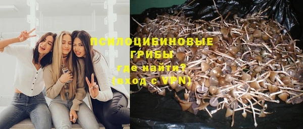метадон Козельск