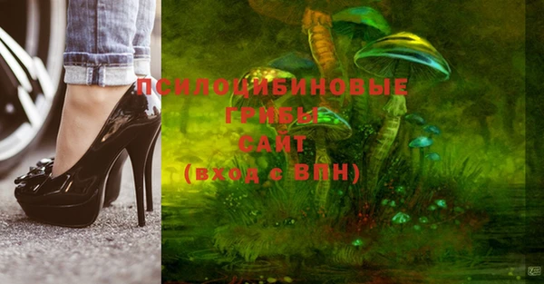 хмурый Козловка