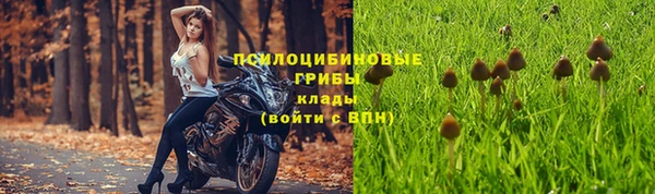 метадон Козельск