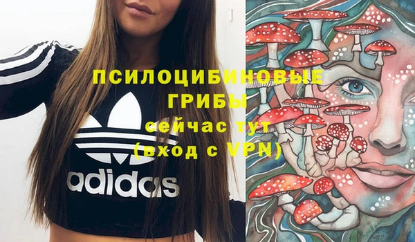 метадон Козельск