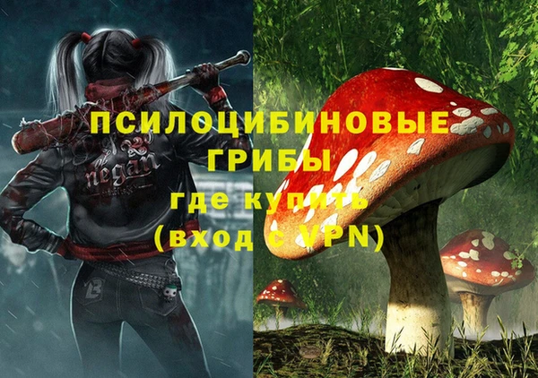 таблы Кодинск